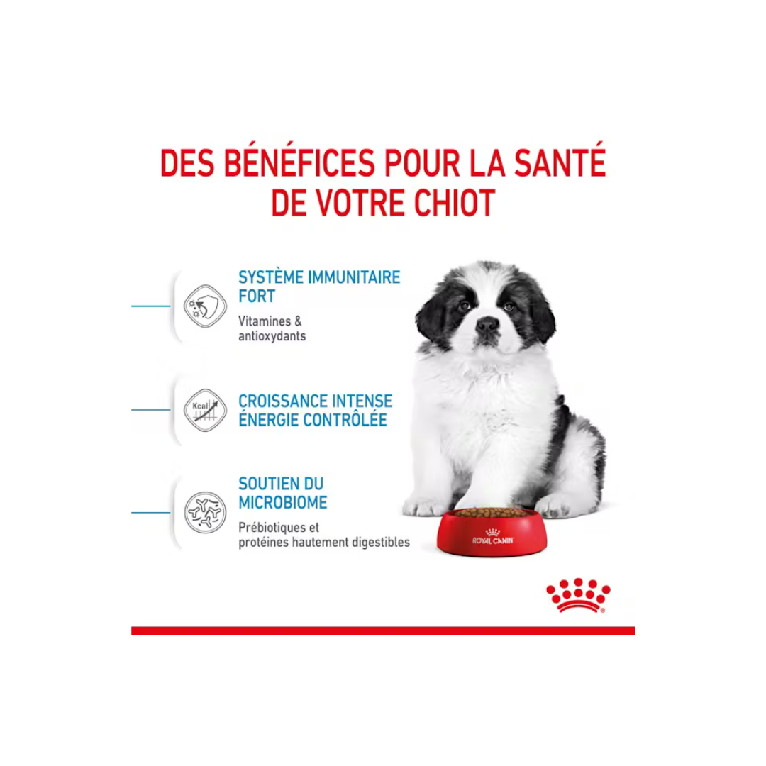 Giant Puppy – Aliment Sec pour Chiots – Royal Canin