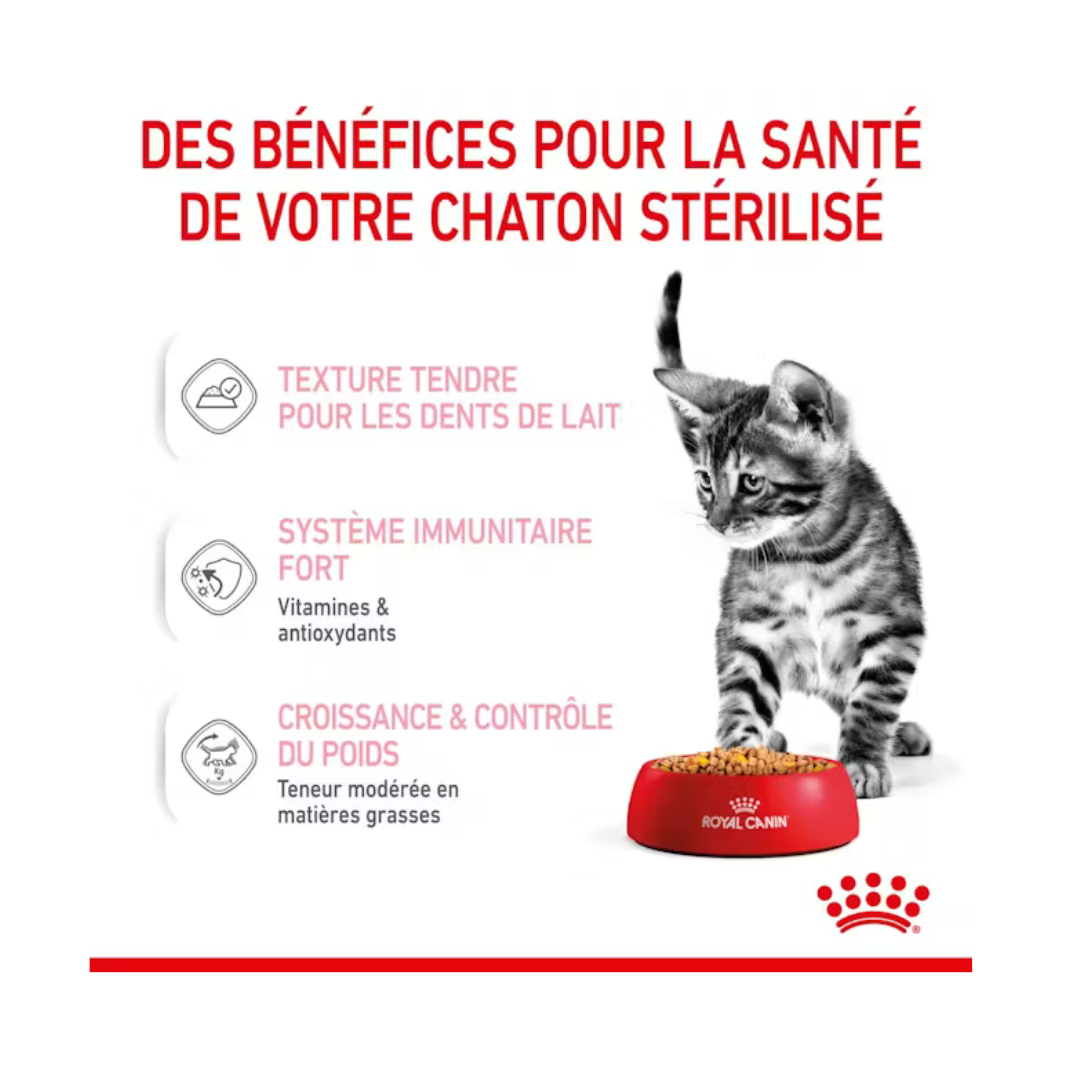 Kitten Sterilised en Gelée 12x85g- Aliment Humide- Royal Canin