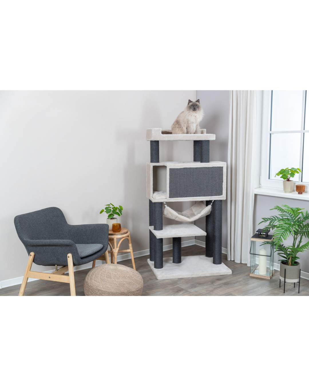  Arbre à chat Maciel XXL- Trixie