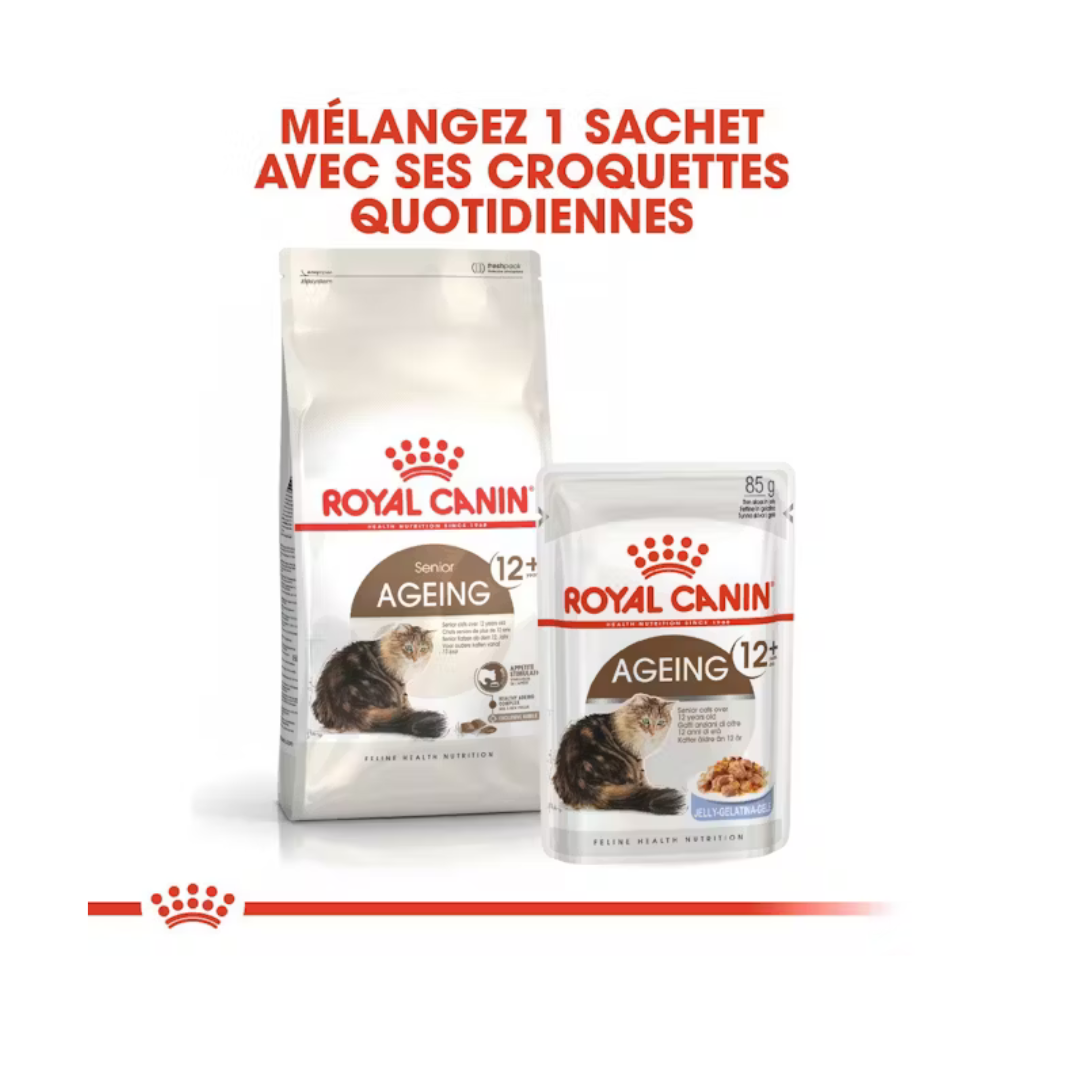 Senior Ageing 12+ Aliment Sec- Royal Canin