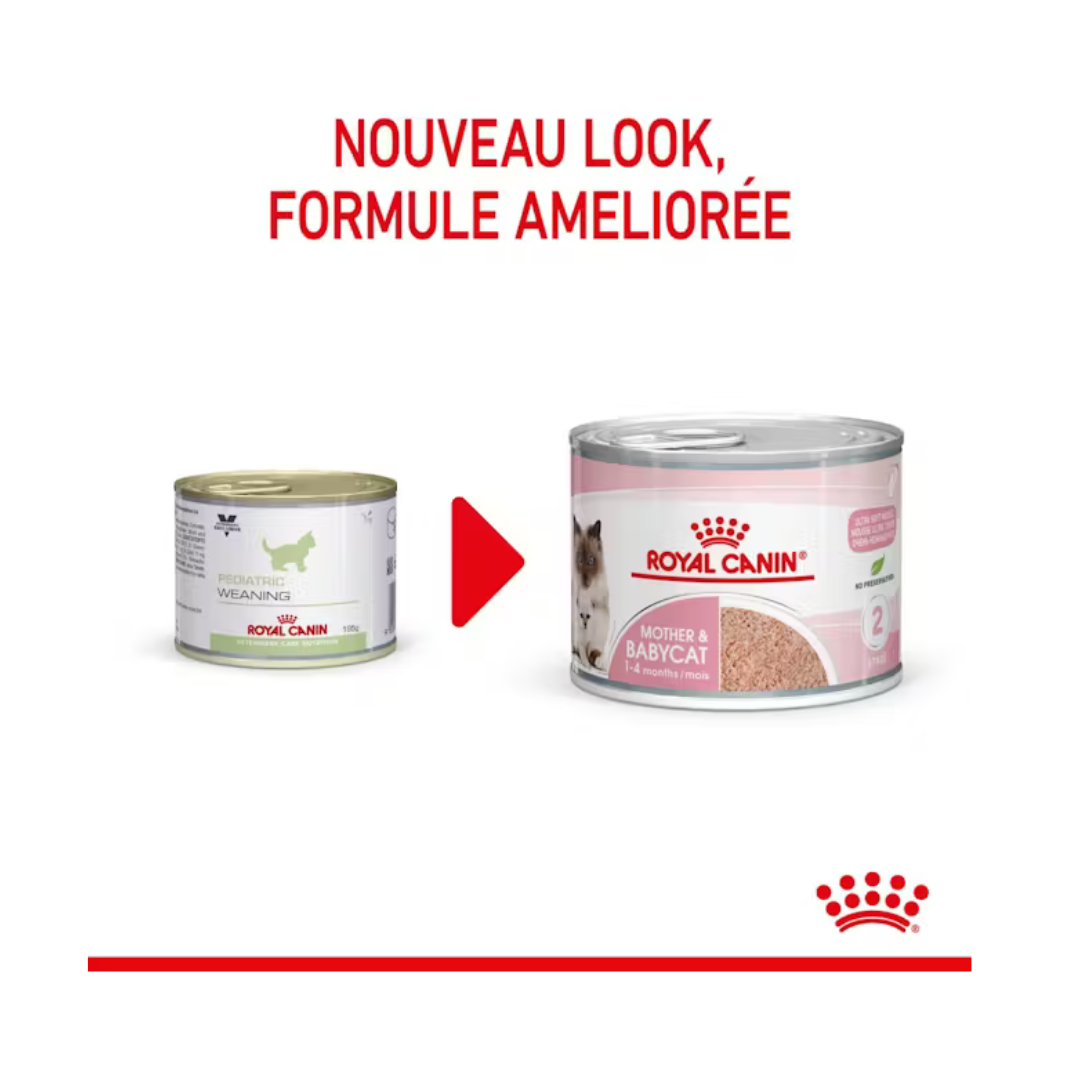 Mother e Babycat Mousse 12x195g- Aliment Humide- Royal Canin