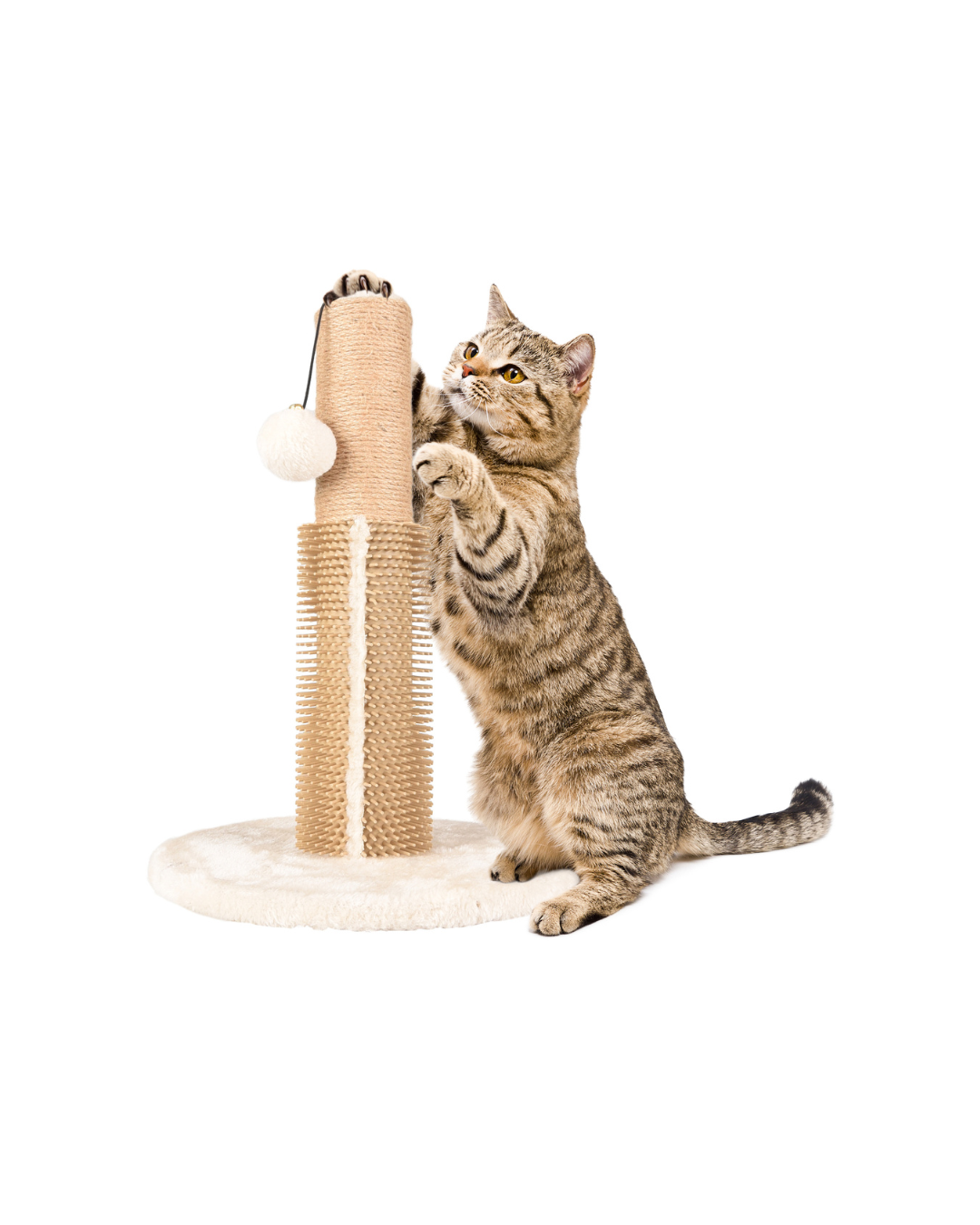 Arbre à Chat Asa- Flamingo