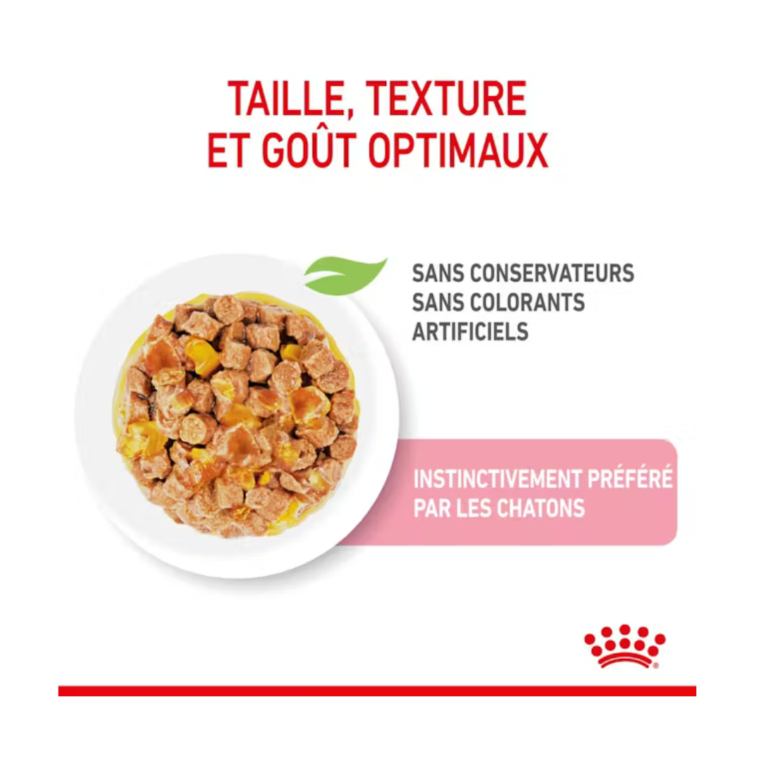 Gelée pour chaton- Aliment Humide- Royal Canin