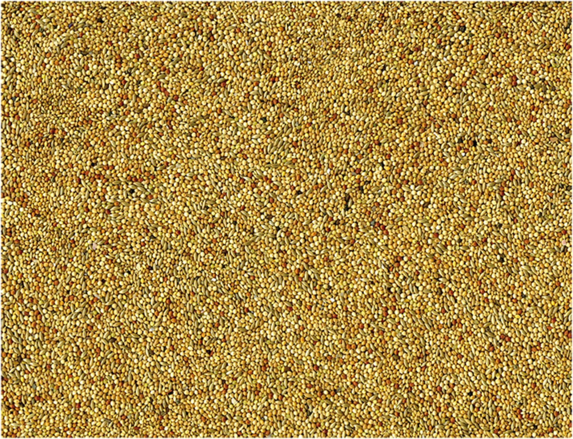 Oiseaux Exotiques Basic 20 kg – Vadigran