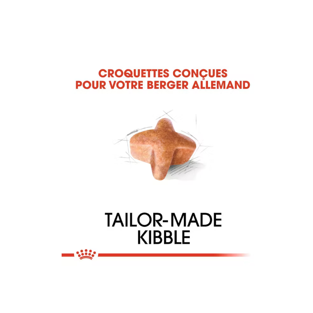 Berger Allemand - Alimentation sèche- Royal Canin 