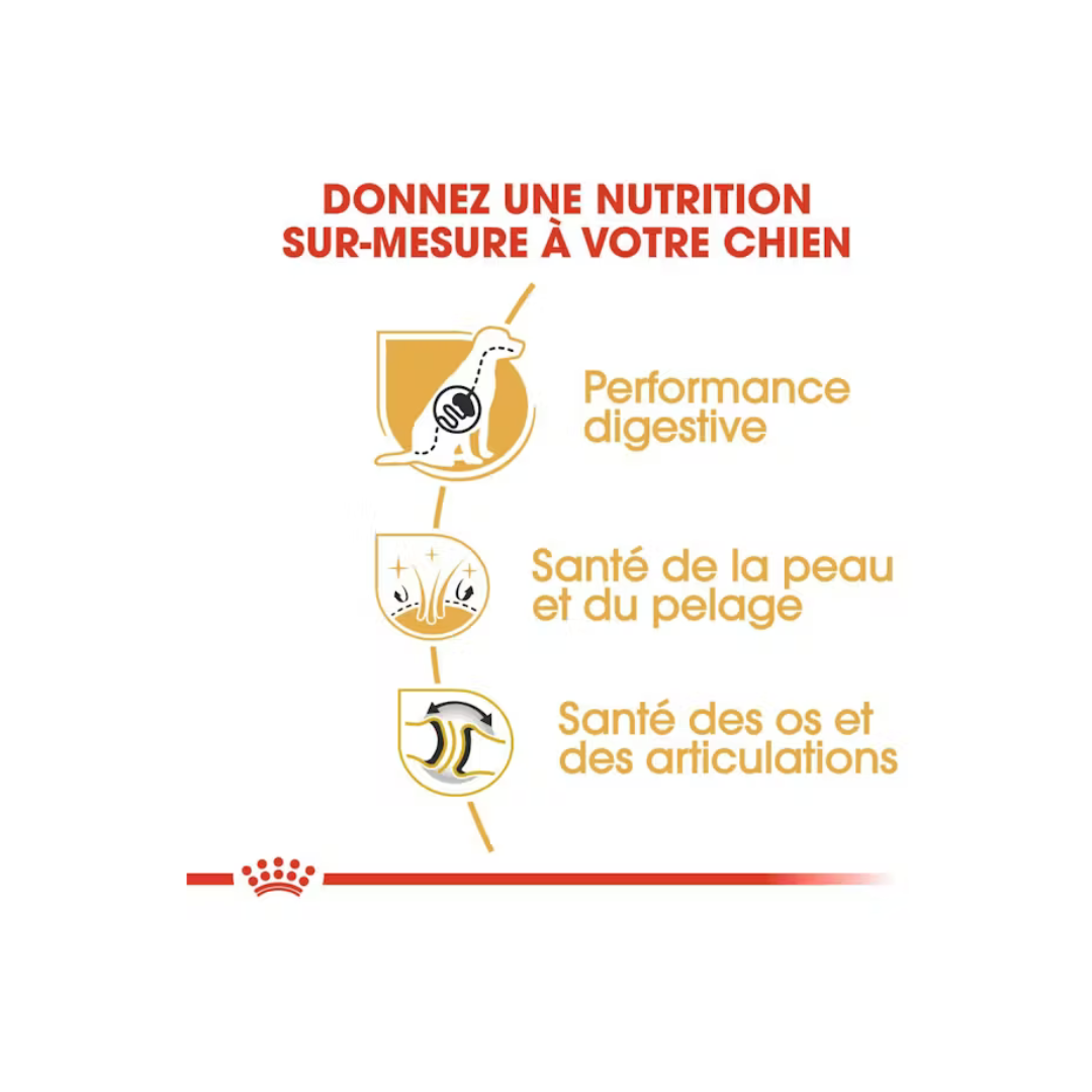 Berger Allemand - Alimentation sèche- Royal Canin 