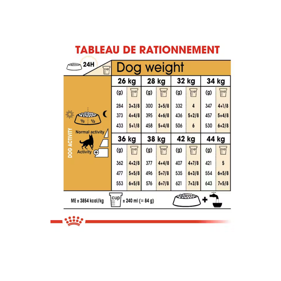 Berger Allemand - Alimentation sèche- Royal Canin 