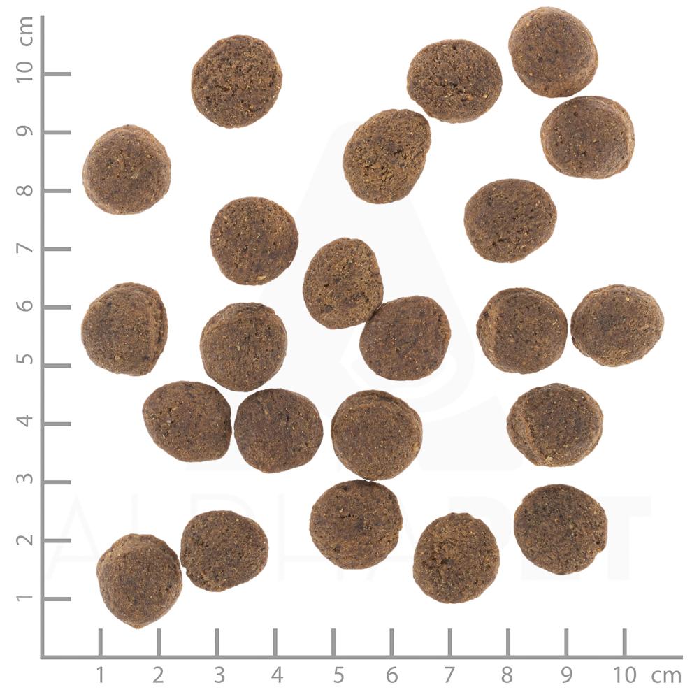 Croquette VetLine Gastrointestinal (2 kg) - Wolfsblut
