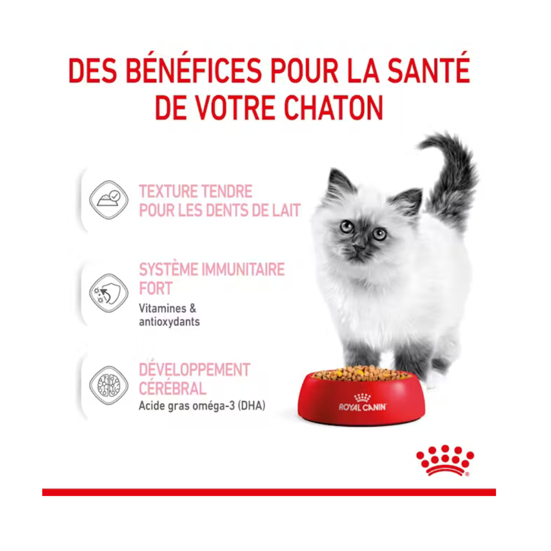 Gelée pour chaton- Aliment Humide- Royal Canin
