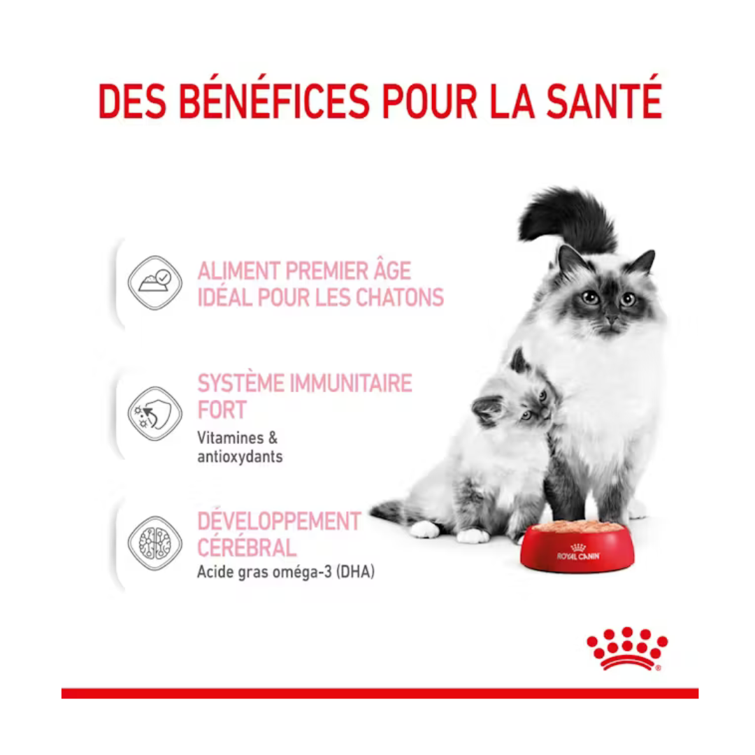 Mother e Babycat Mousse 12x195g- Aliment Humide- Royal Canin