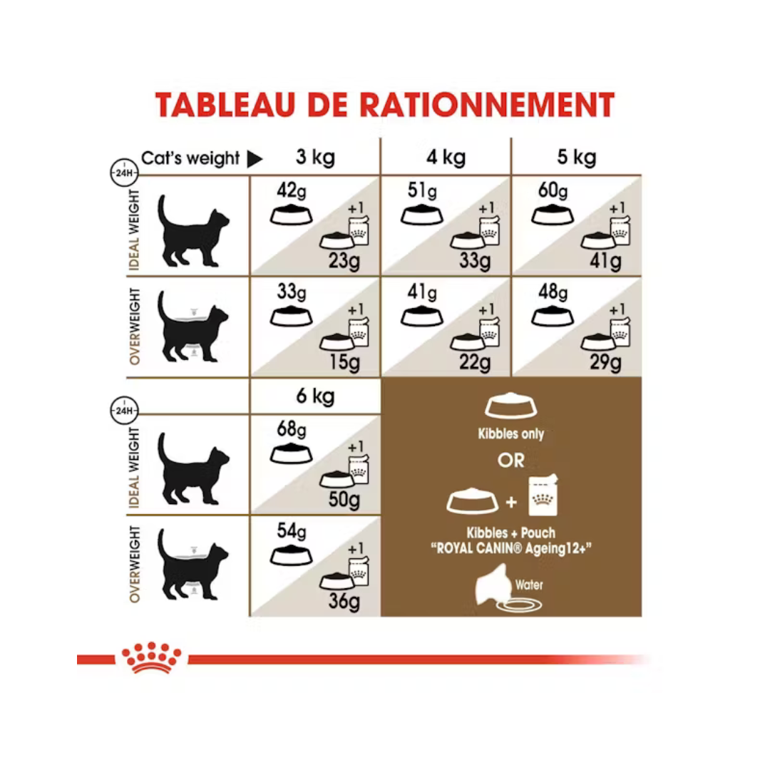 Senior Ageing 12+ Aliment Sec- Royal Canin