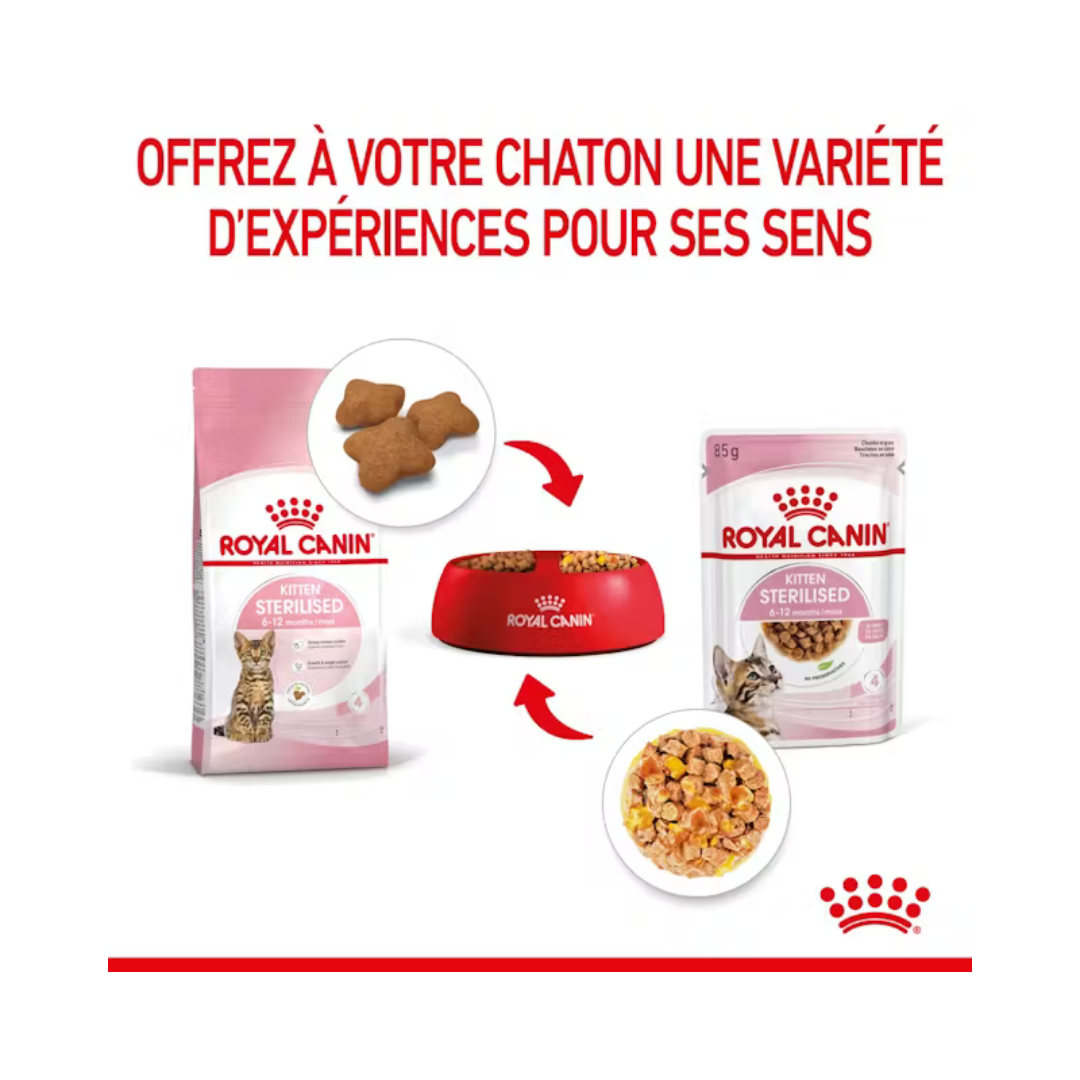Kitten Sterilised en Gelée 12x85g- Aliment Humide- Royal Canin