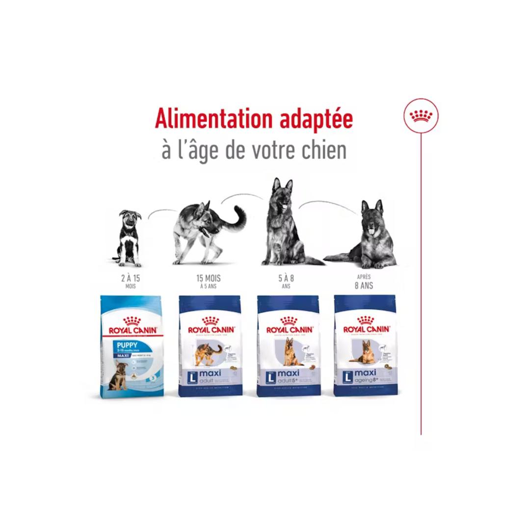 Maxi Adult 5+ Aliment Sec- Royal Canin