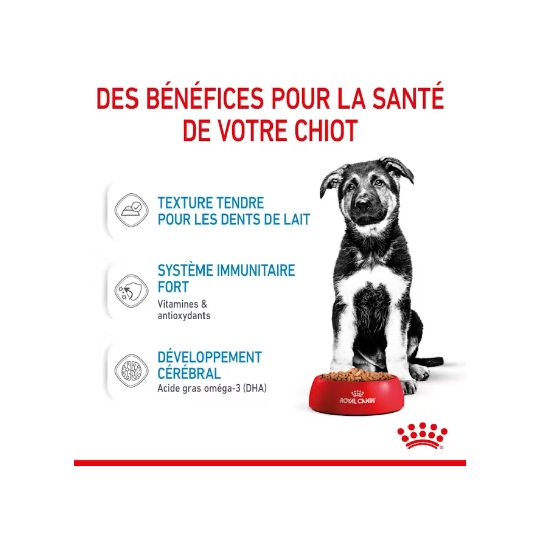 Maxi Puppy- Aliment Humide- Royal Canin