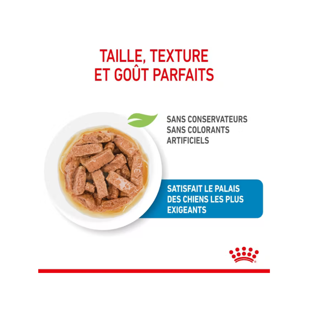 Maxi Puppy- Aliment Humide- Royal Canin