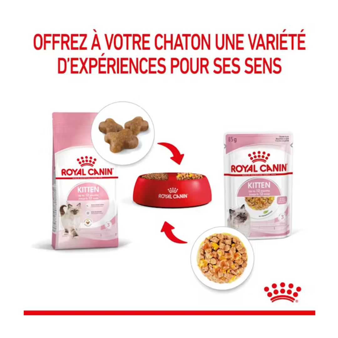 Gelée pour chaton- Aliment Humide- Royal Canin