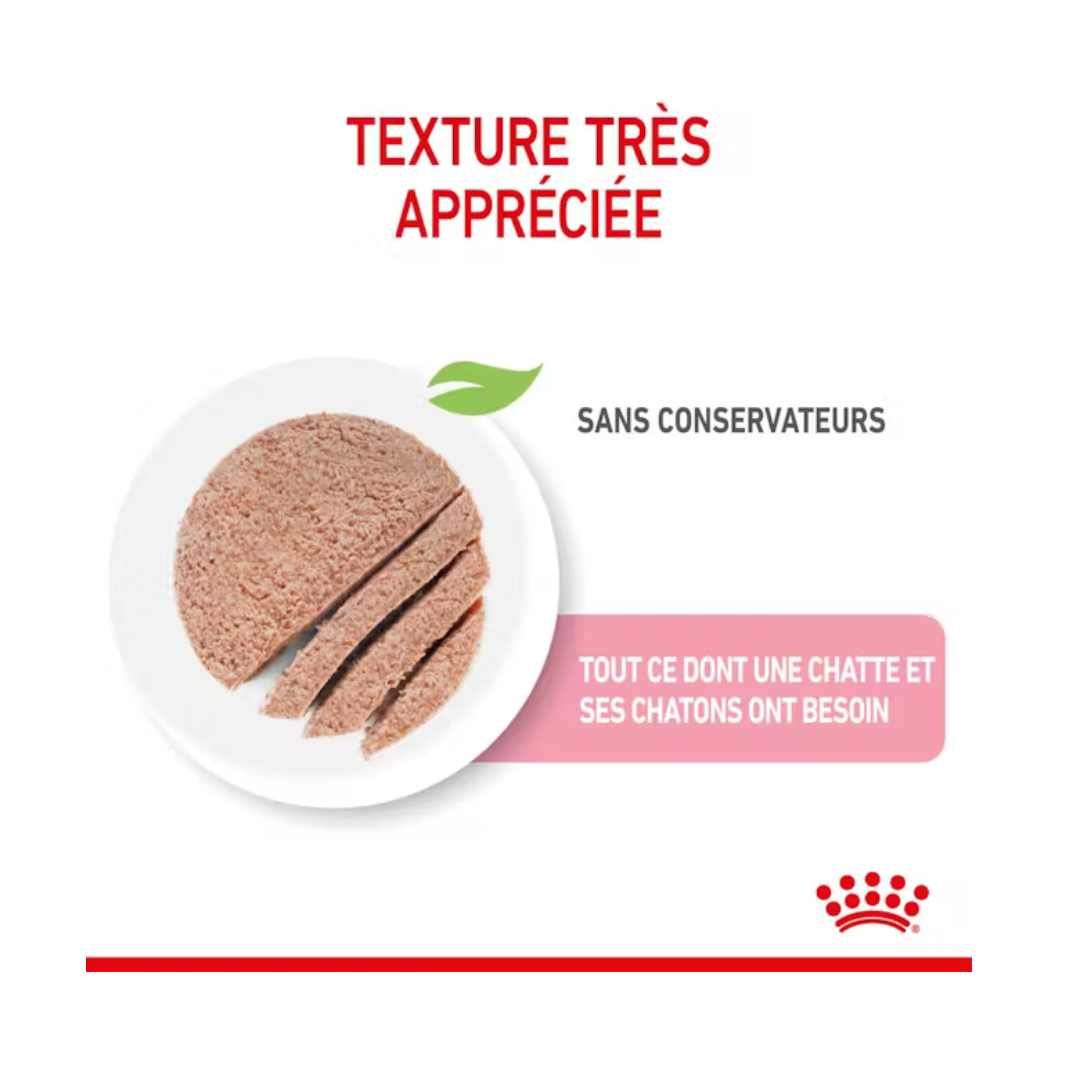 Mother e Babycat Mousse 12x195g- Aliment Humide- Royal Canin