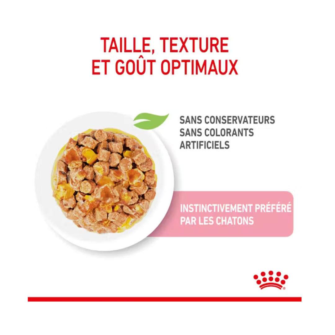Kitten Sterilised en Gelée 12x85g- Aliment Humide- Royal Canin