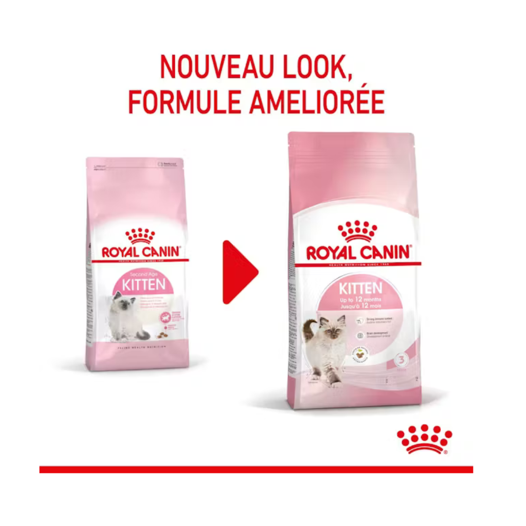 Royal Canin Chaton