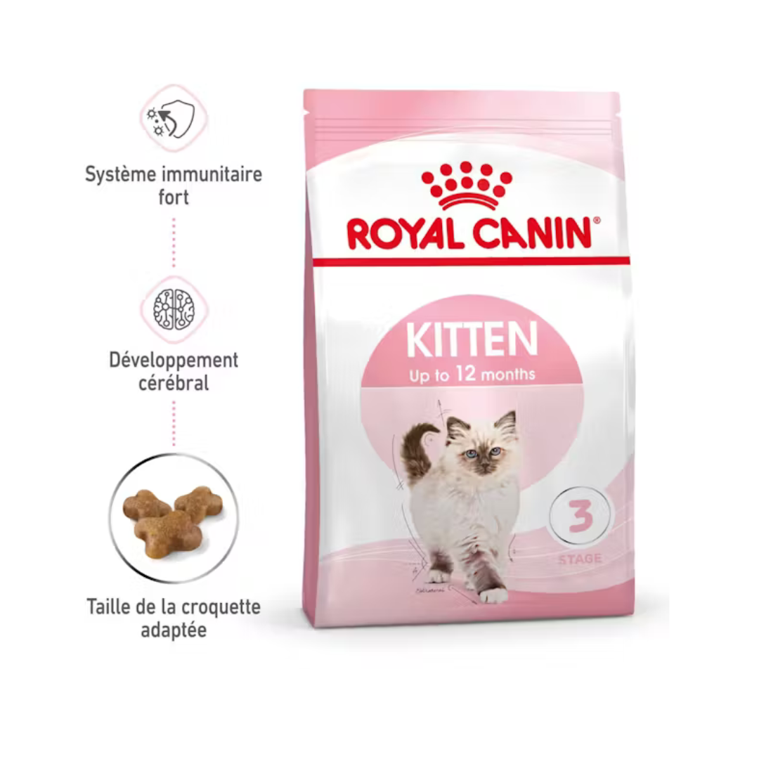 Royal Canin Chaton
