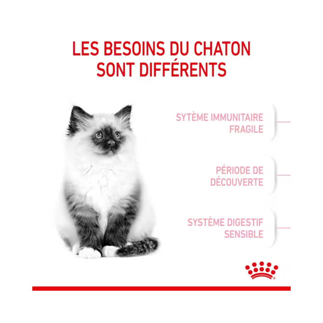Royal Canin Chaton