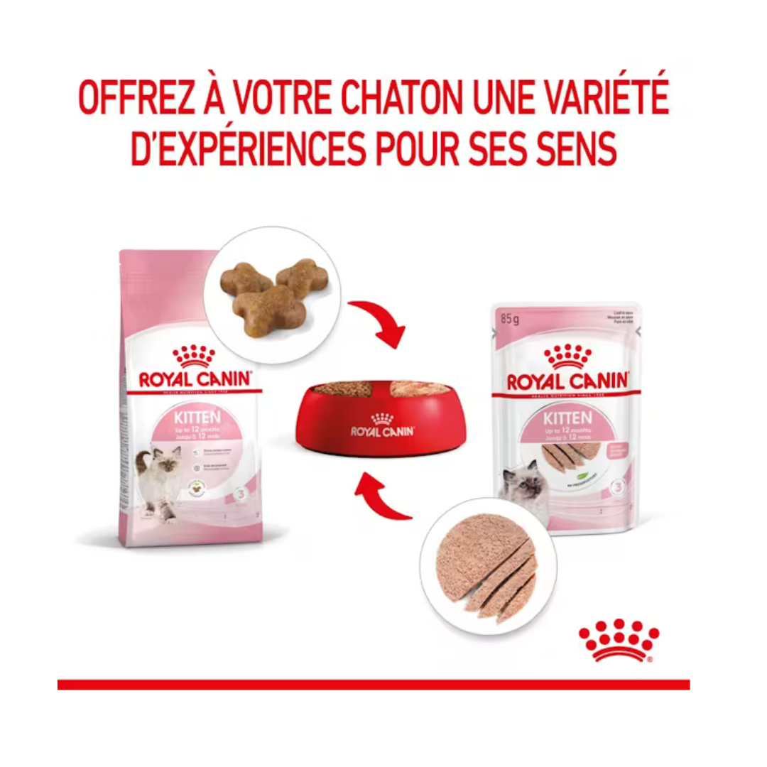 Kitten Mousse 12x85g- Aliment Humide- Royal Canin