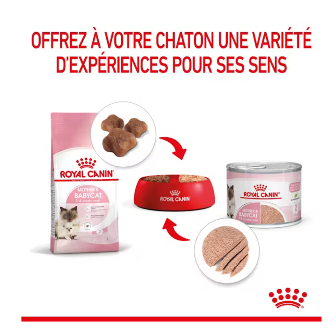 Mother e Babycat Mousse 12x195g- Aliment Humide- Royal Canin