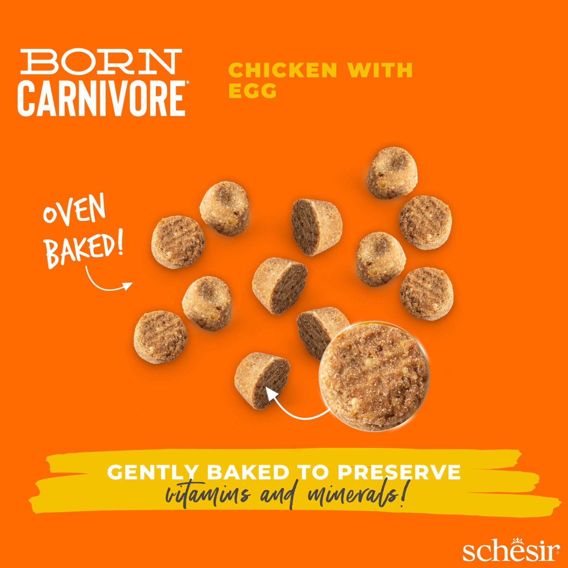 Schesir™ Chat Born Carnivore Poulet & Œuf – 1,25 kg