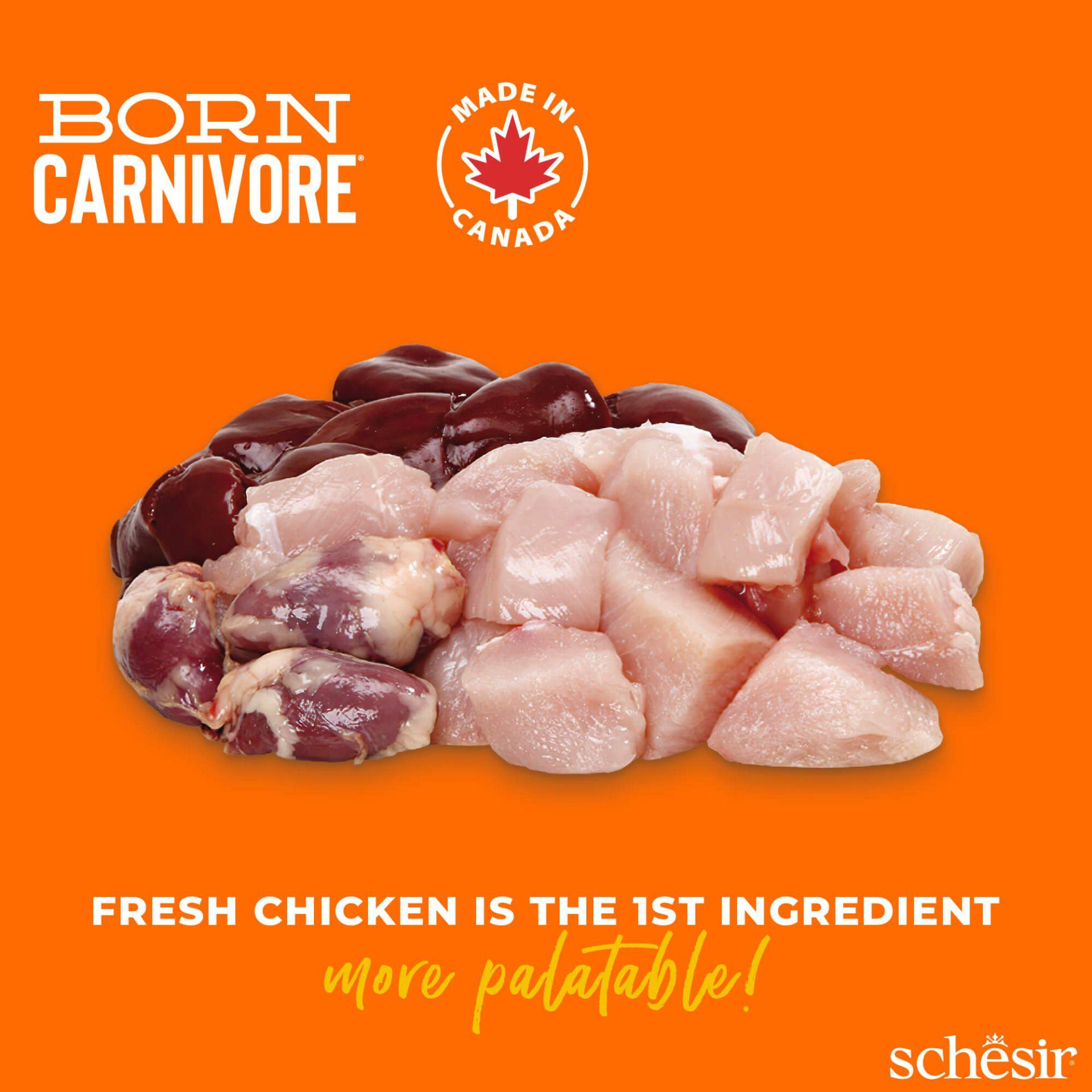 Schesir™ Chat Born Carnivore Poulet & Œuf – 1,25 kg
