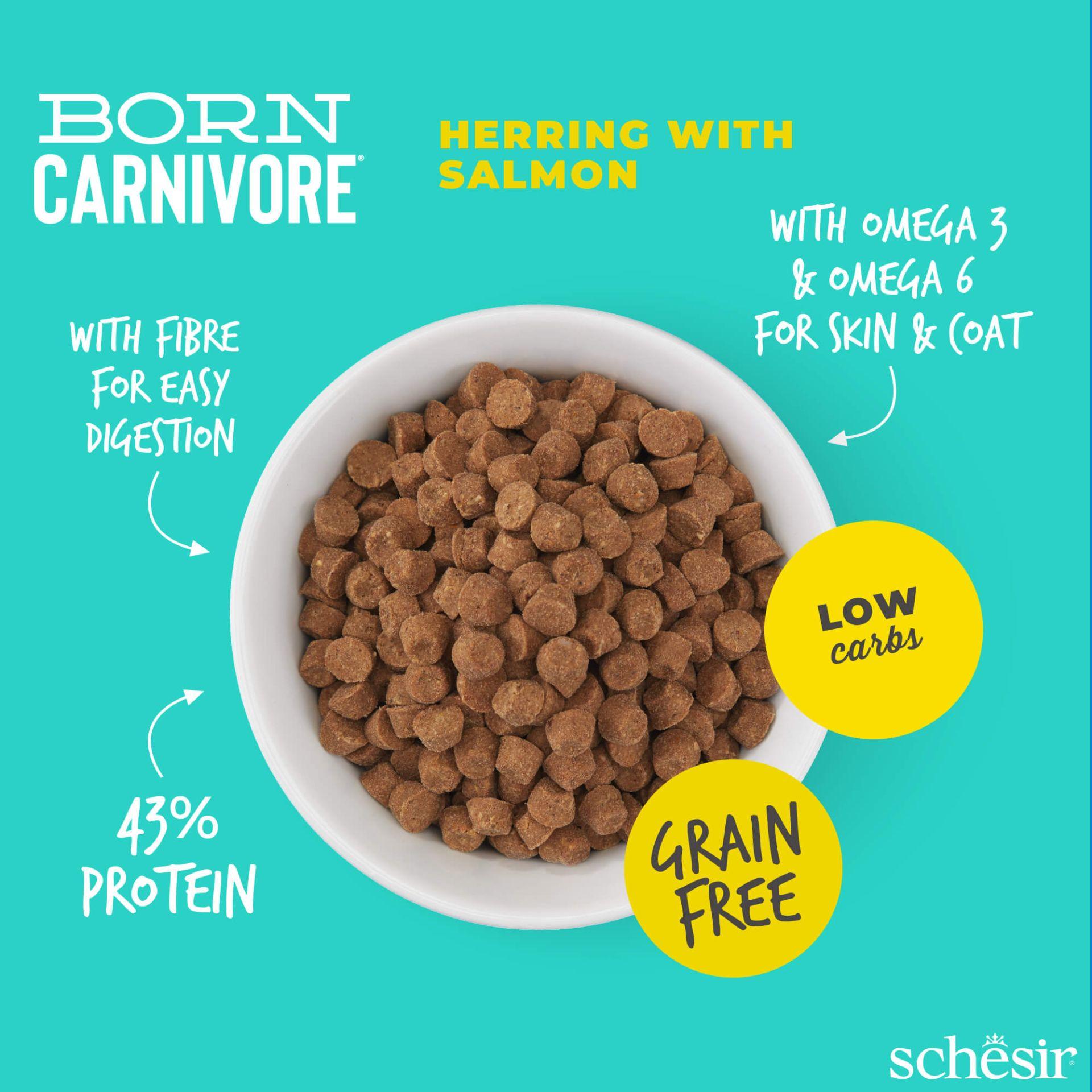 Schesir Chat Born Carnivore Hareng & Saumon – 1,25 kg