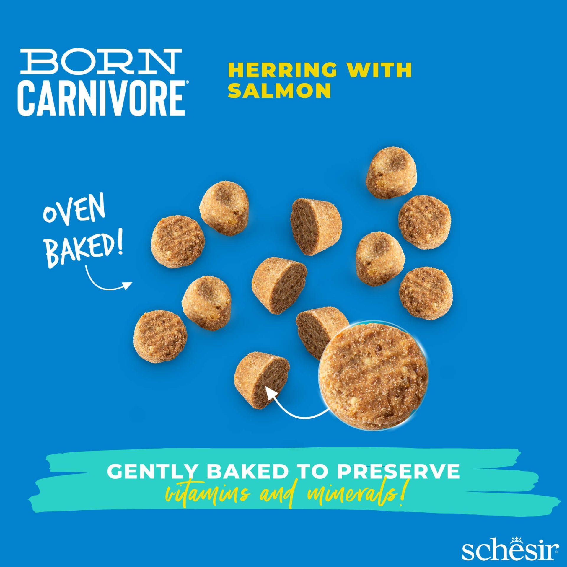 Schesir Chat Born Carnivore Hareng & Saumon – 1,25 kg