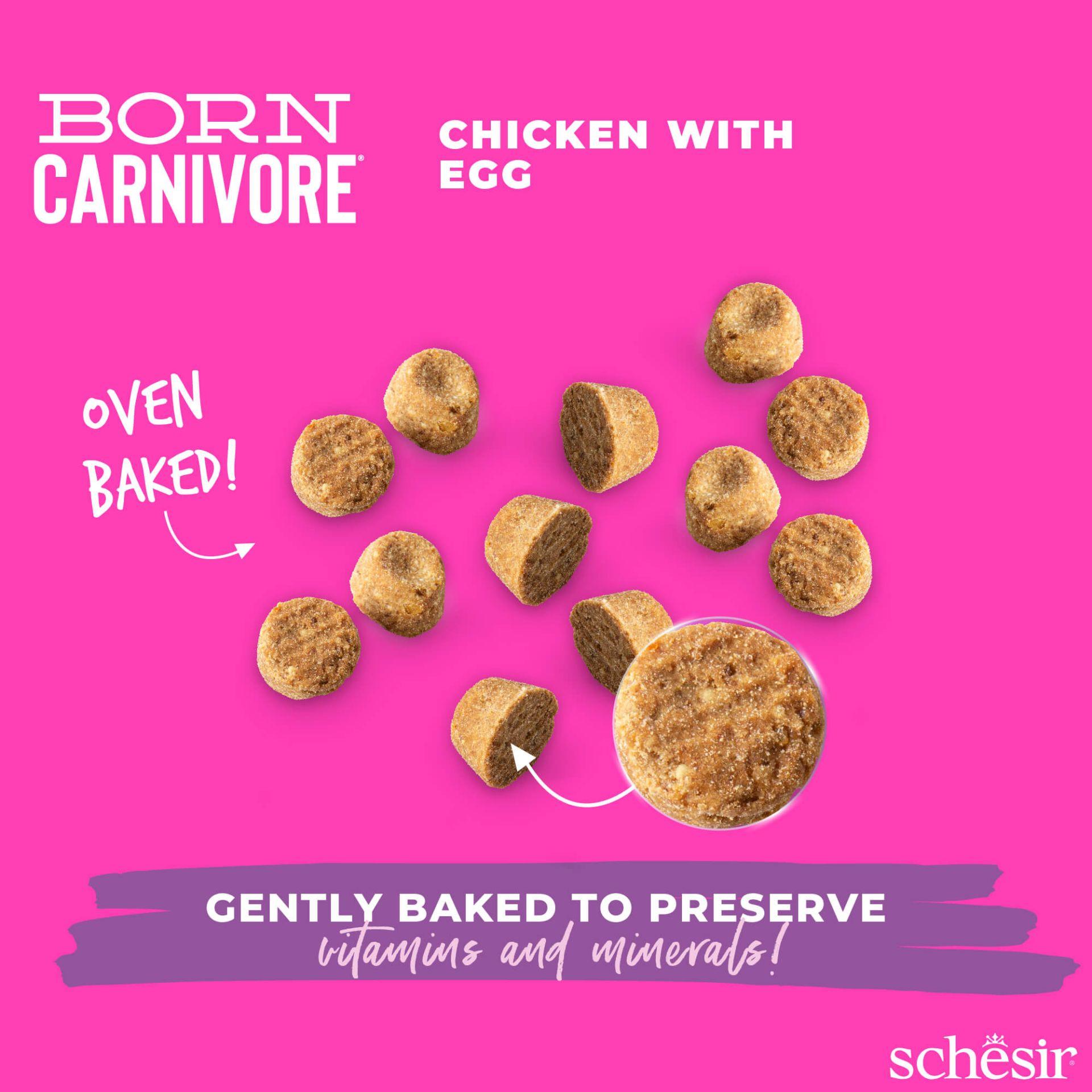 Schesir™ Chaton Carnivore Poulet & Œuf – 1,25 kg