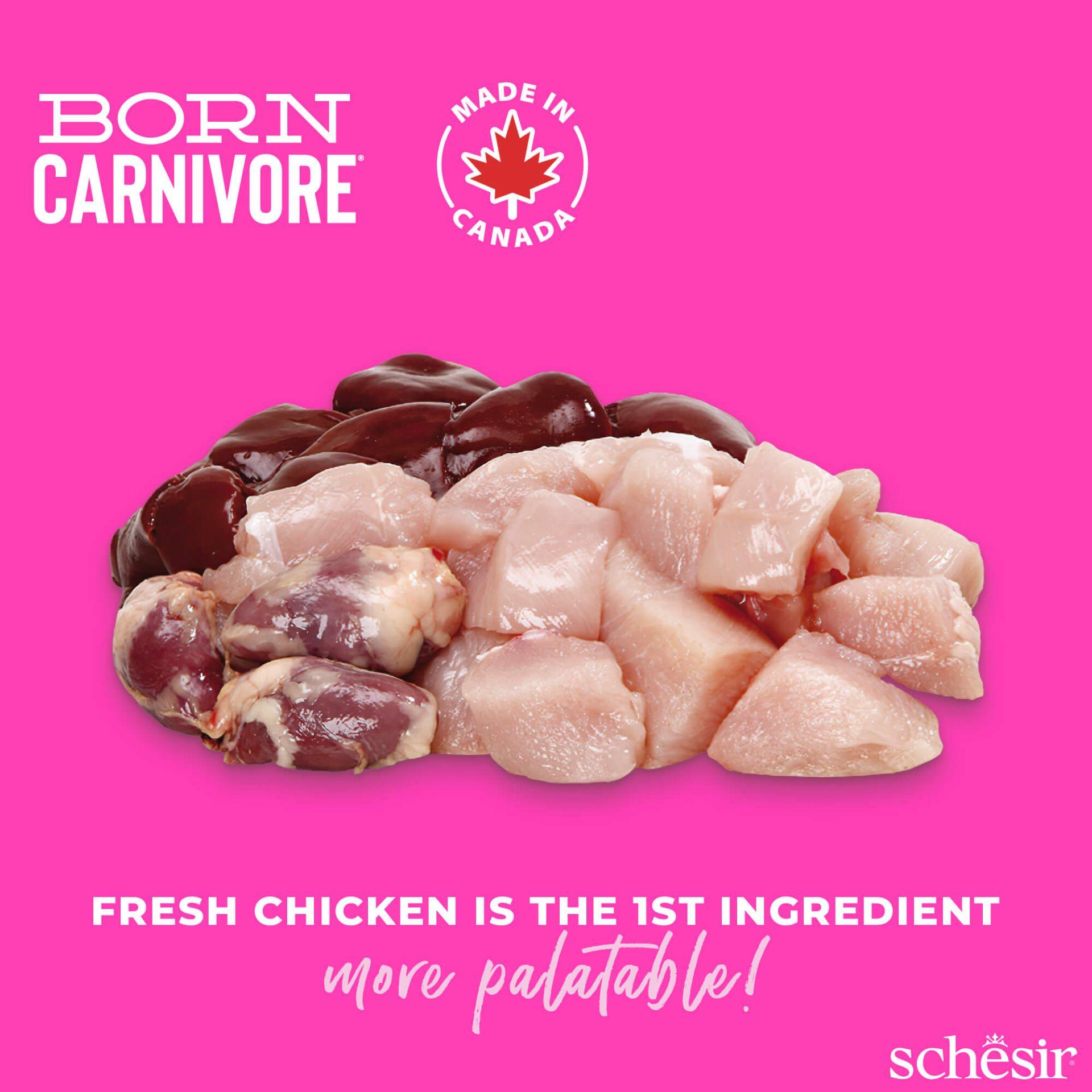 Schesir™ Chaton Carnivore Poulet & Œuf – 1,25 kg