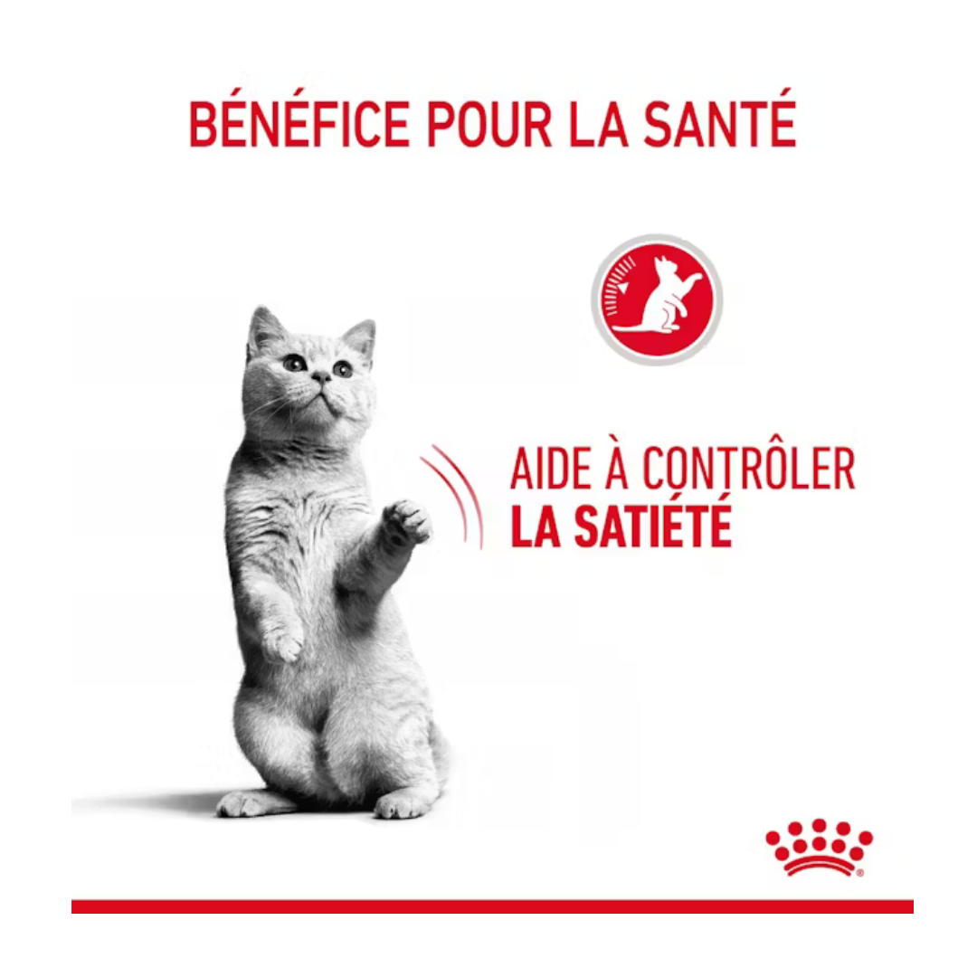 Appetite Control 12x85g- Aliment Humide- Royal Canin 