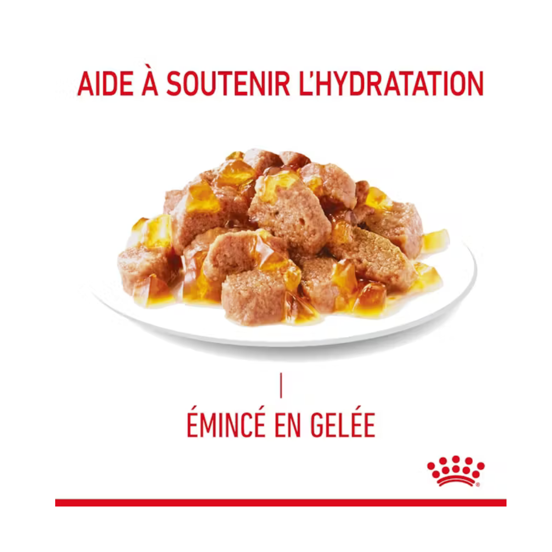 Light Weight Care Jelly 12x85g- Aliment Humide- Royal Canin