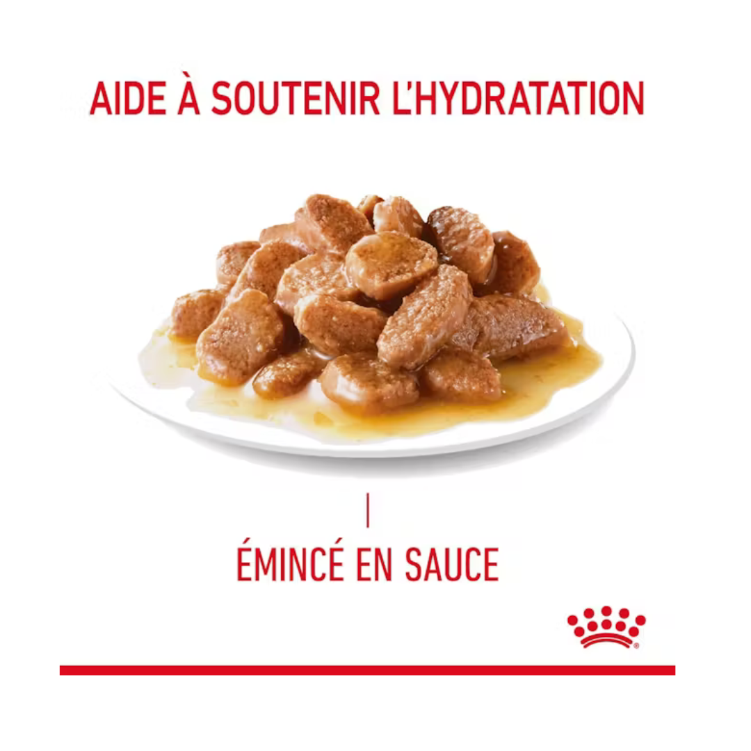Appetite Control 12x85g- Aliment Humide- Royal Canin 