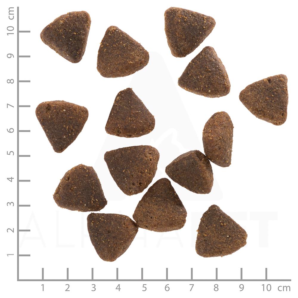 Wolfsblut Puppy Large Breed Wild Duck (2 kg)