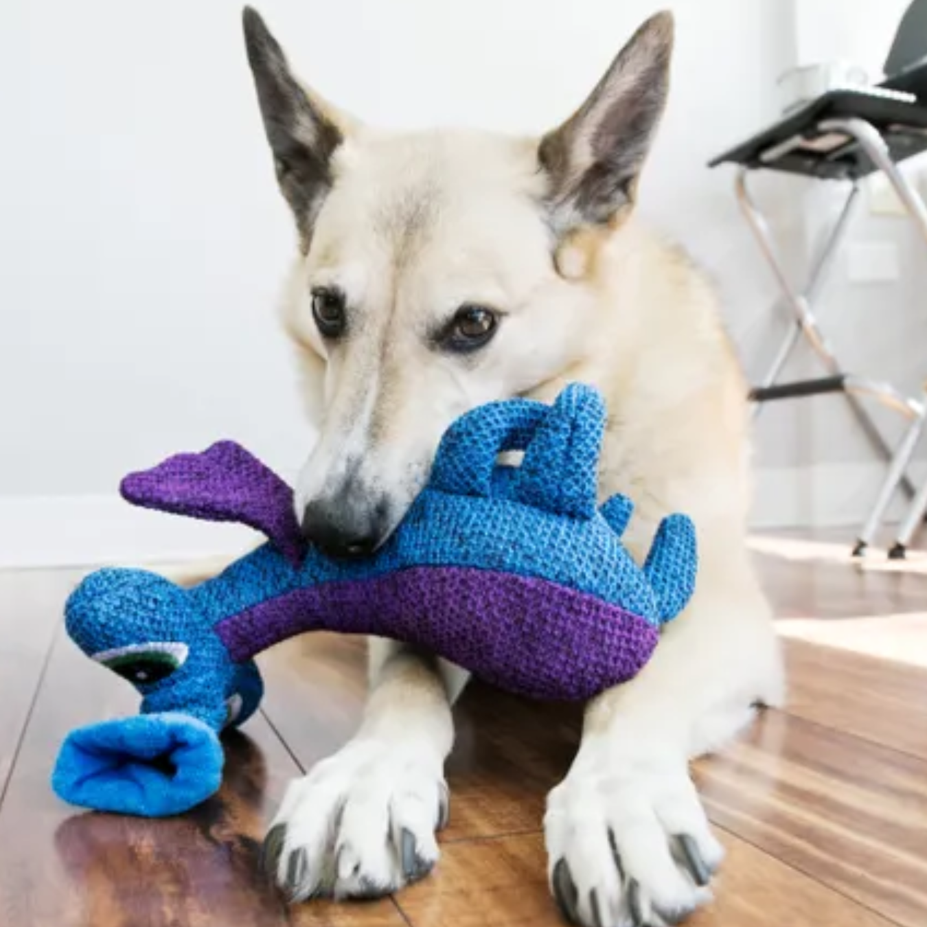  KONG® Jouet Woozles Bleu Alien