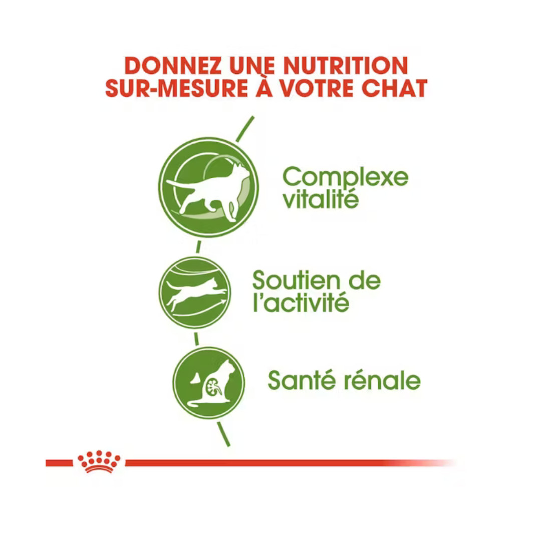 Outdoor 7+ Aliment Sec- Royal Canin 