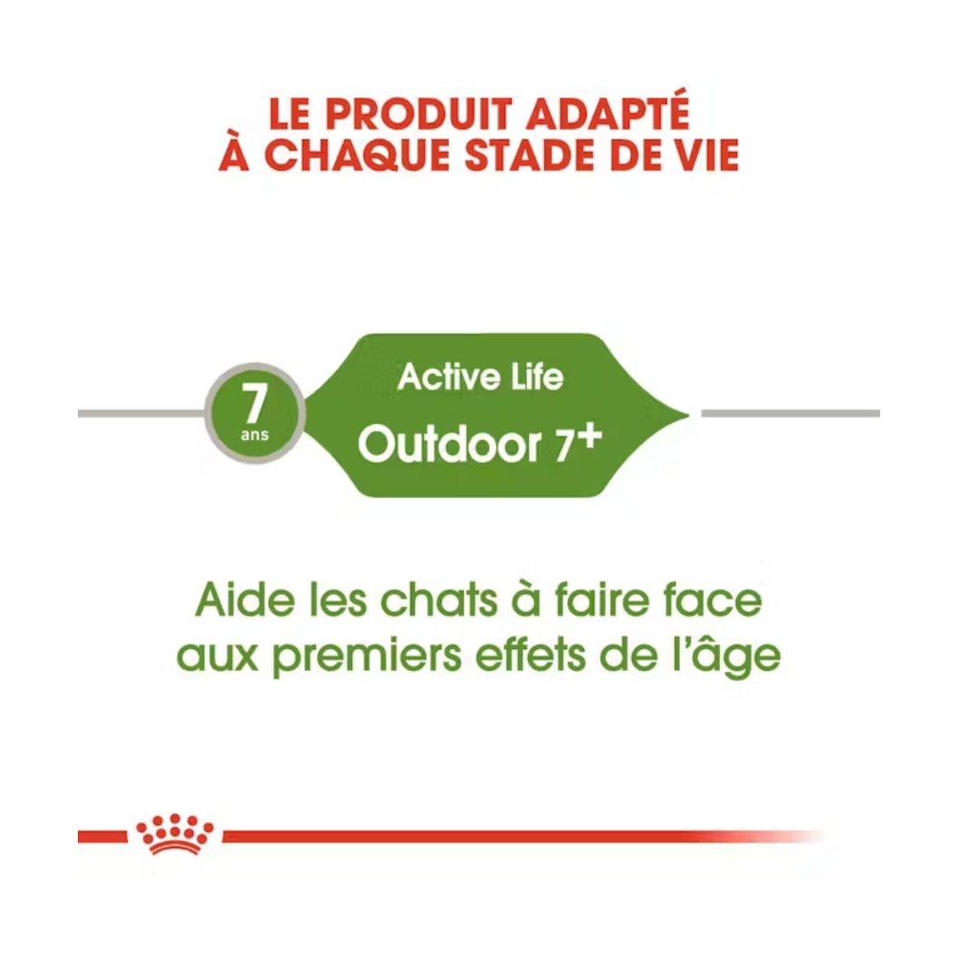 Outdoor 7+ Aliment Sec- Royal Canin 