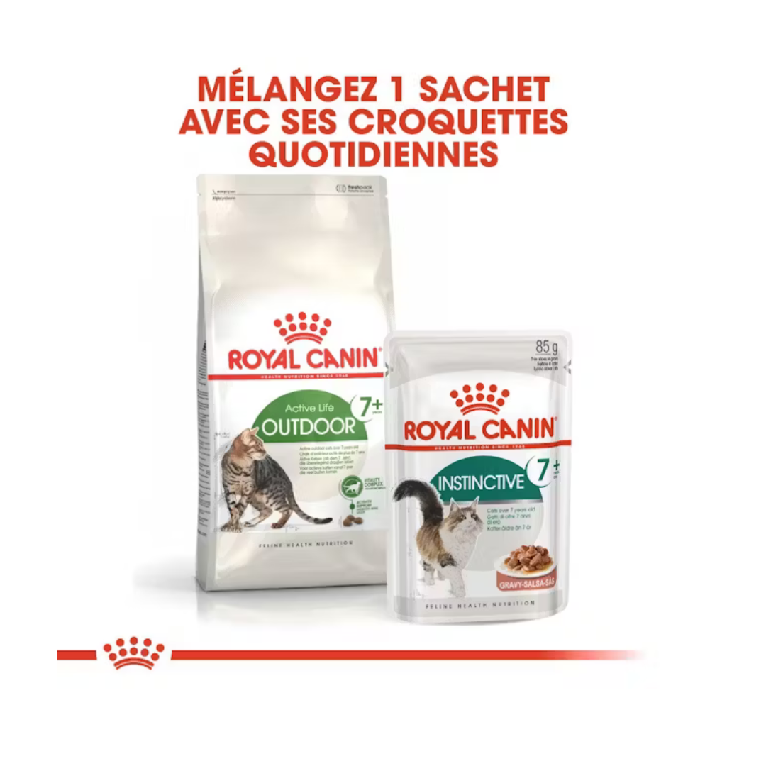 Outdoor 7+ Aliment Sec- Royal Canin 