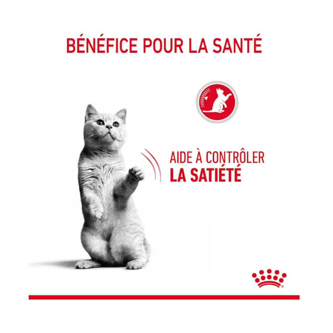 Appetite Control Care – Aliment sec pour chats- Royal Canin 