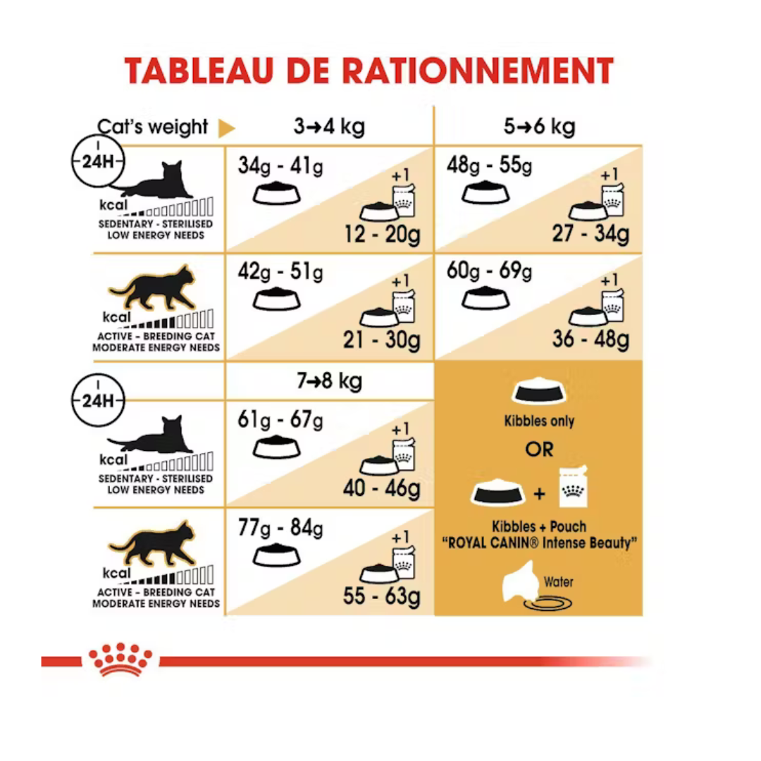 Bengal Adult- Aliment Sec- Royal Canin 