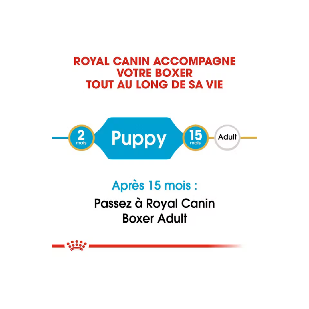 Boxer Chiot- Aliment Sec- Royal Canin