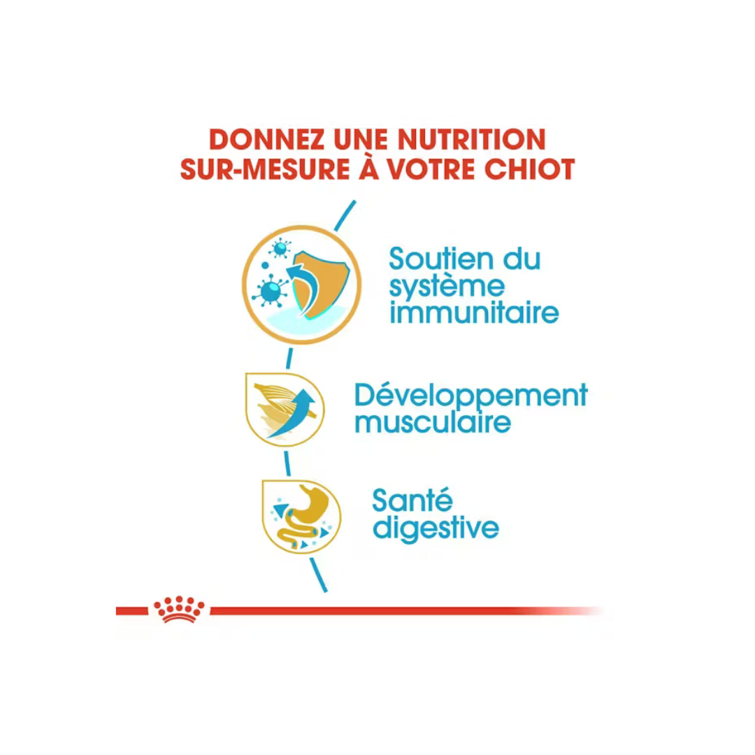 Boxer Chiot- Aliment Sec- Royal Canin