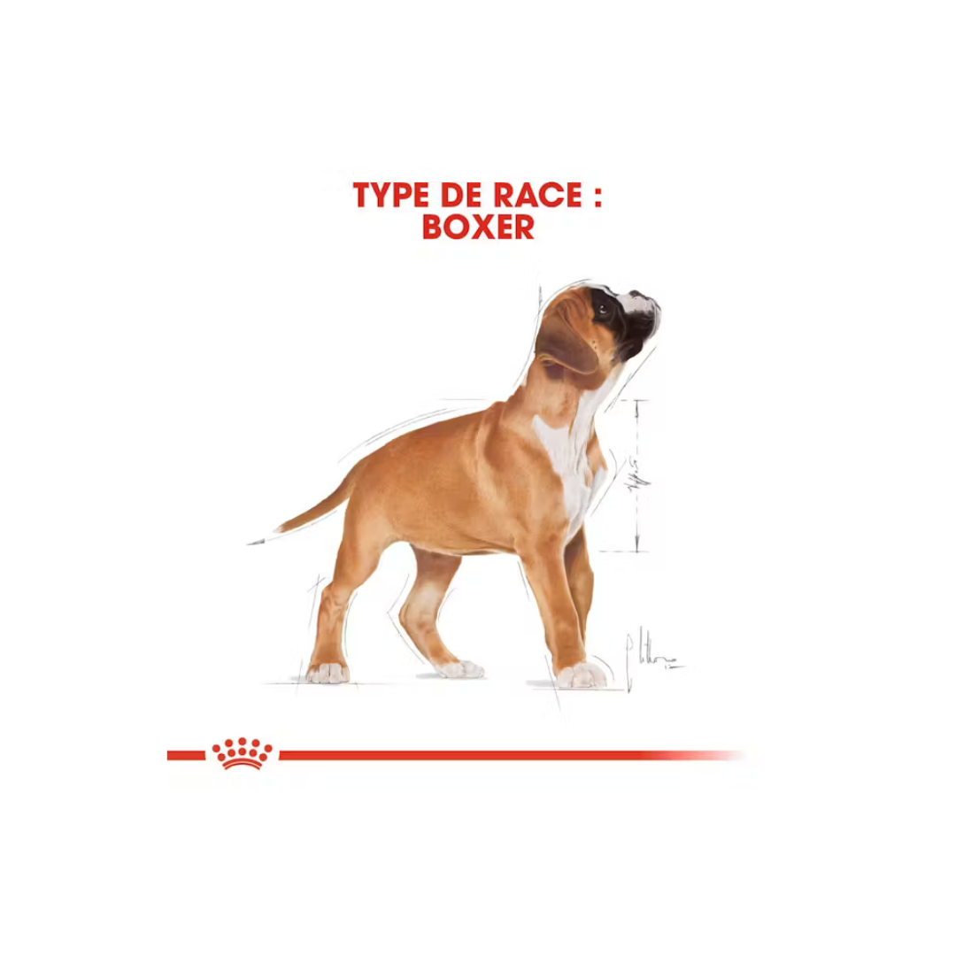 Boxer Chiot- Aliment Sec- Royal Canin