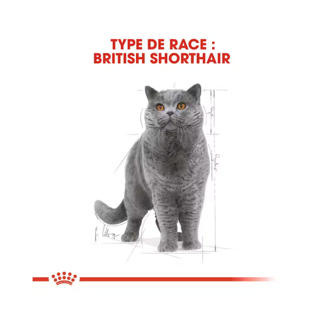 British Shorthair Adult en Sauce 12x85g- Aliment Humide- Royal Canin