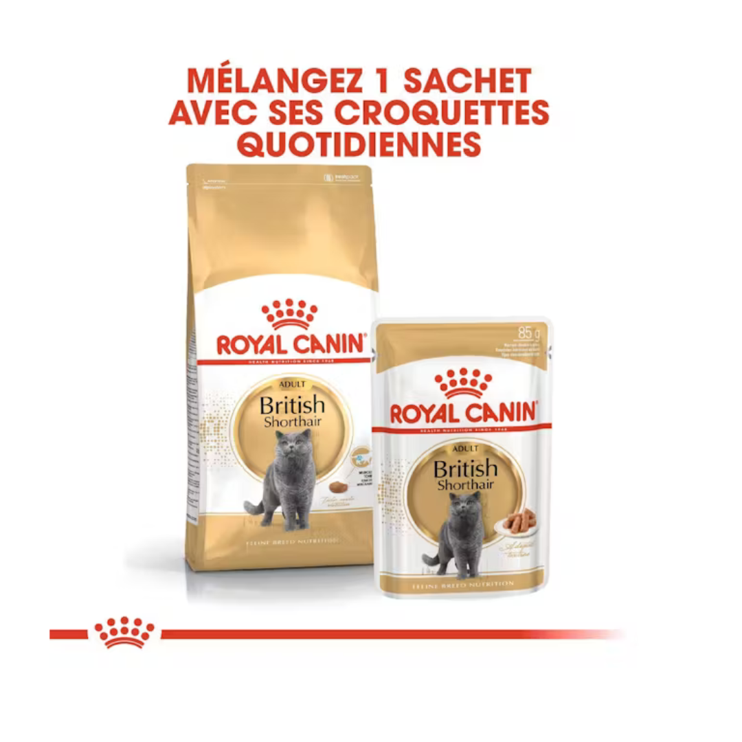 British Shorthair Adult en Sauce 12x85g- Aliment Humide- Royal Canin