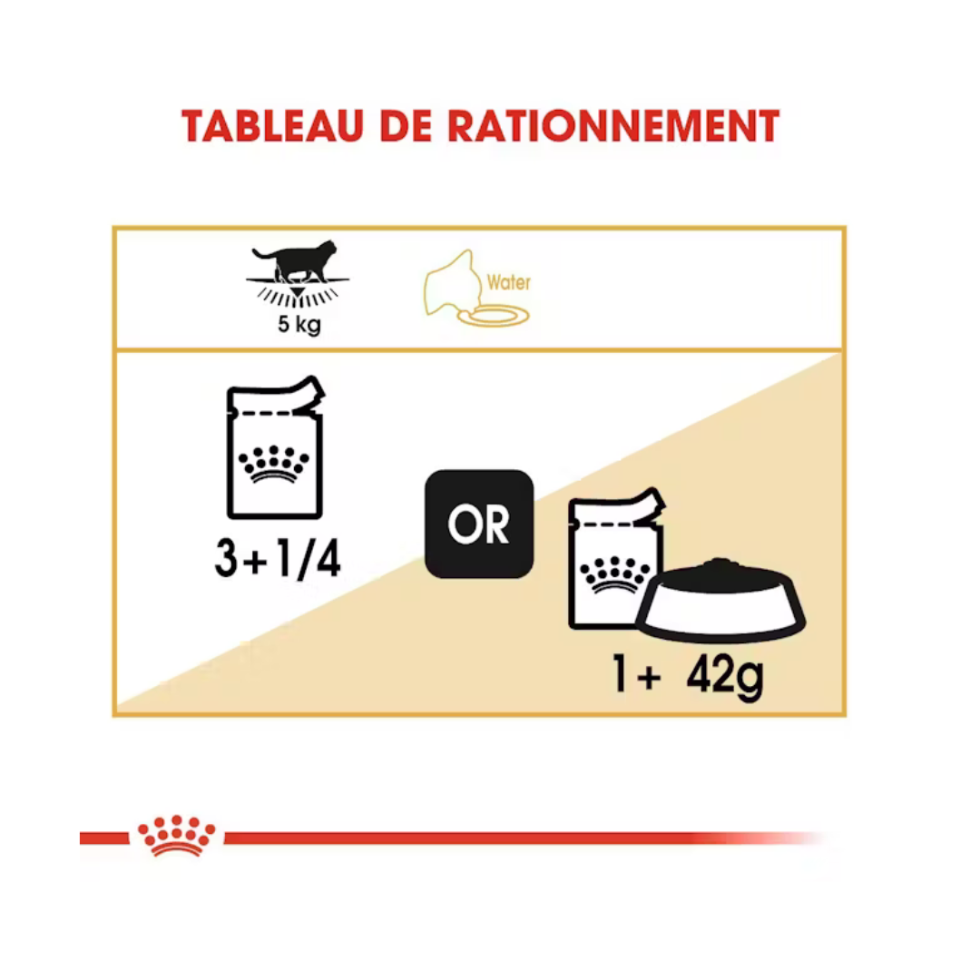 British Shorthair Adult en Sauce 12x85g- Aliment Humide- Royal Canin