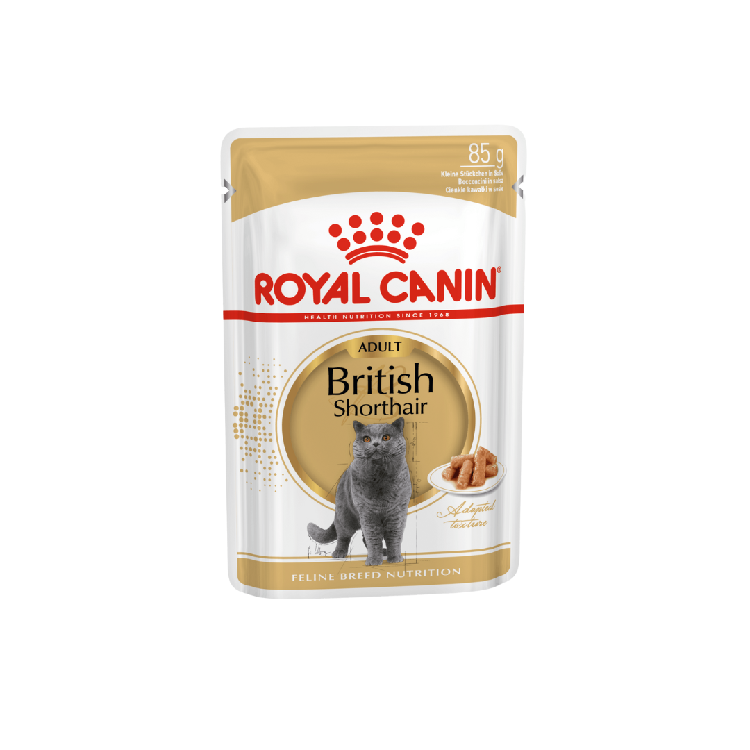 British Shorthair Adult en Sauce 12x85g- Aliment Humide- Royal Canin